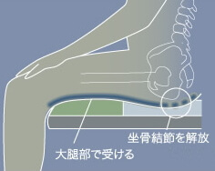 大腿骨で受ける　仙骨結節を解放