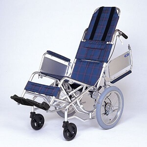 レール式振り子型車椅子 NAH-F1